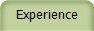 Experience